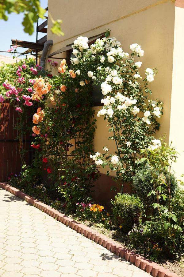 Casa Ciortea Ana シビエル エクステリア 写真